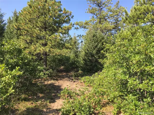 Canon City, CO 81212,Peak View Ridge