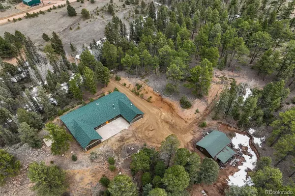 Florissant, CO 80816,1324 Upper Twin Rocks RD
