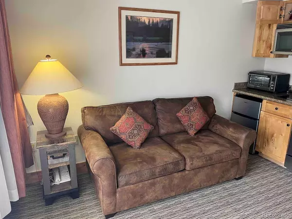 Crested Butte, CO 81225,6 Emmons RD #269