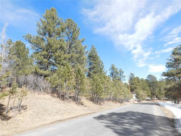 1025 Tenderfoot DR, Larkspur, CO 80118