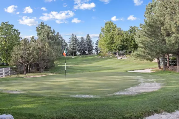 Parker, CO 80134,10145 Meadow RUN