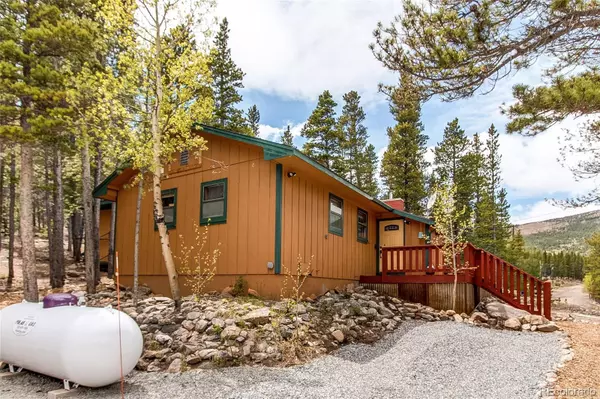 1071 Silver Creek RD, Idaho Springs, CO 80452