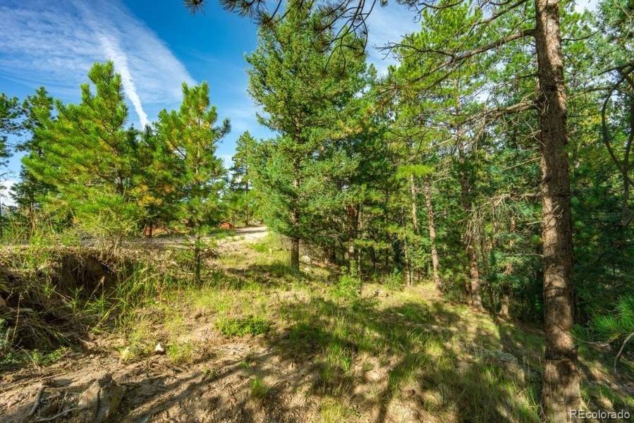 360 Hi Meadow DR, Bailey, CO 80421