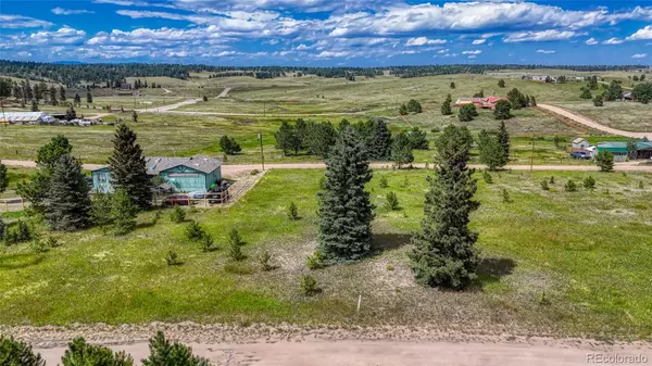 1129 Will Scarlet DR, Divide, CO 80814