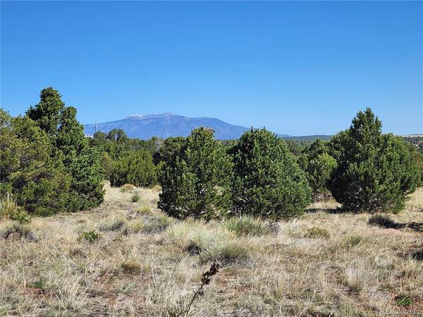 Walsenburg, CO 81089,Navajo Rd