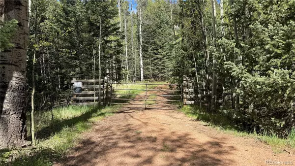 Divide, CO 80814,County Road 61 Ct Rd