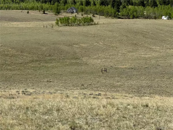 Hartsel, CO 80449,96 Angus CIR