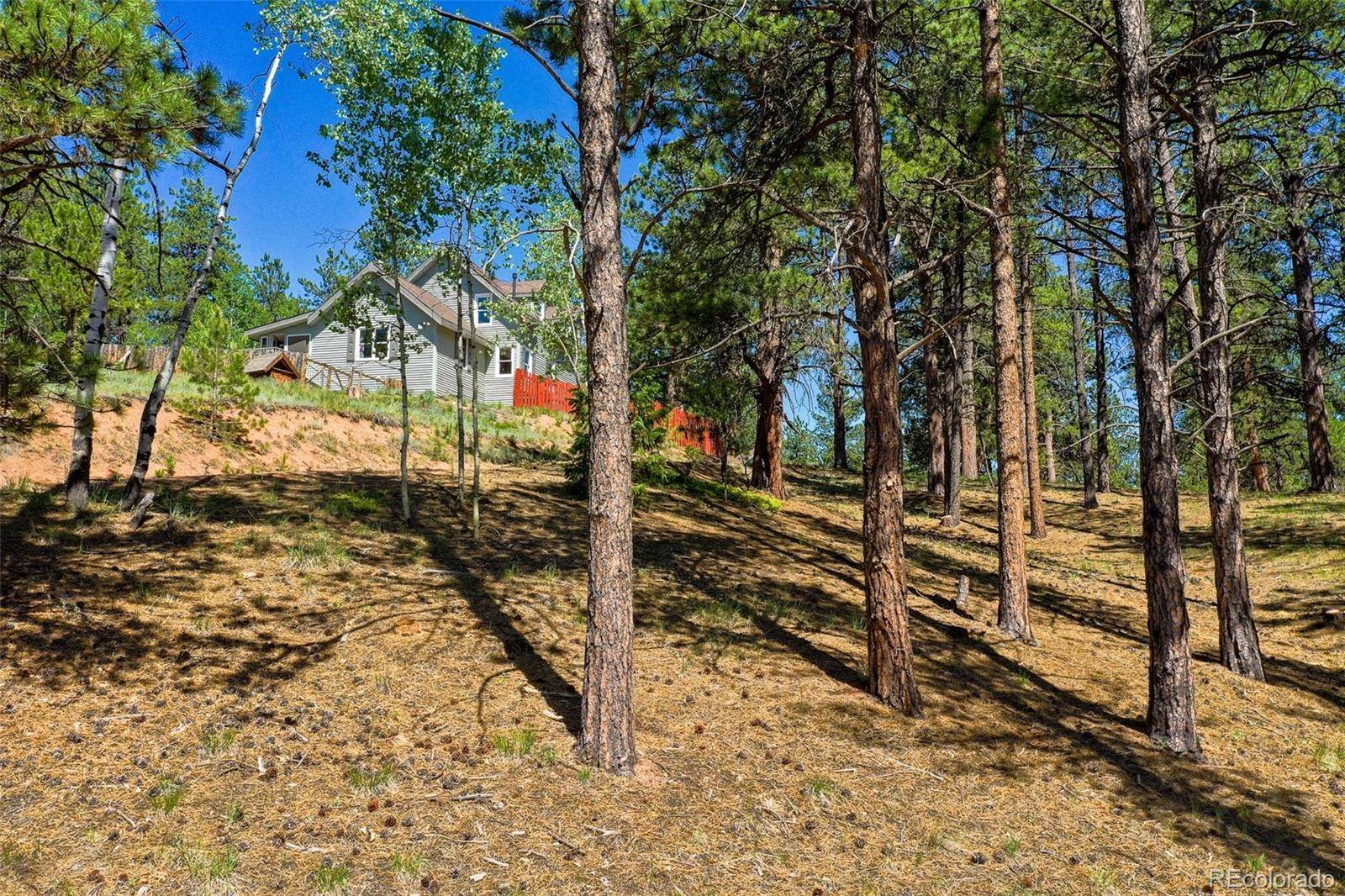 Florissant, CO 80816,34 Piute CIR