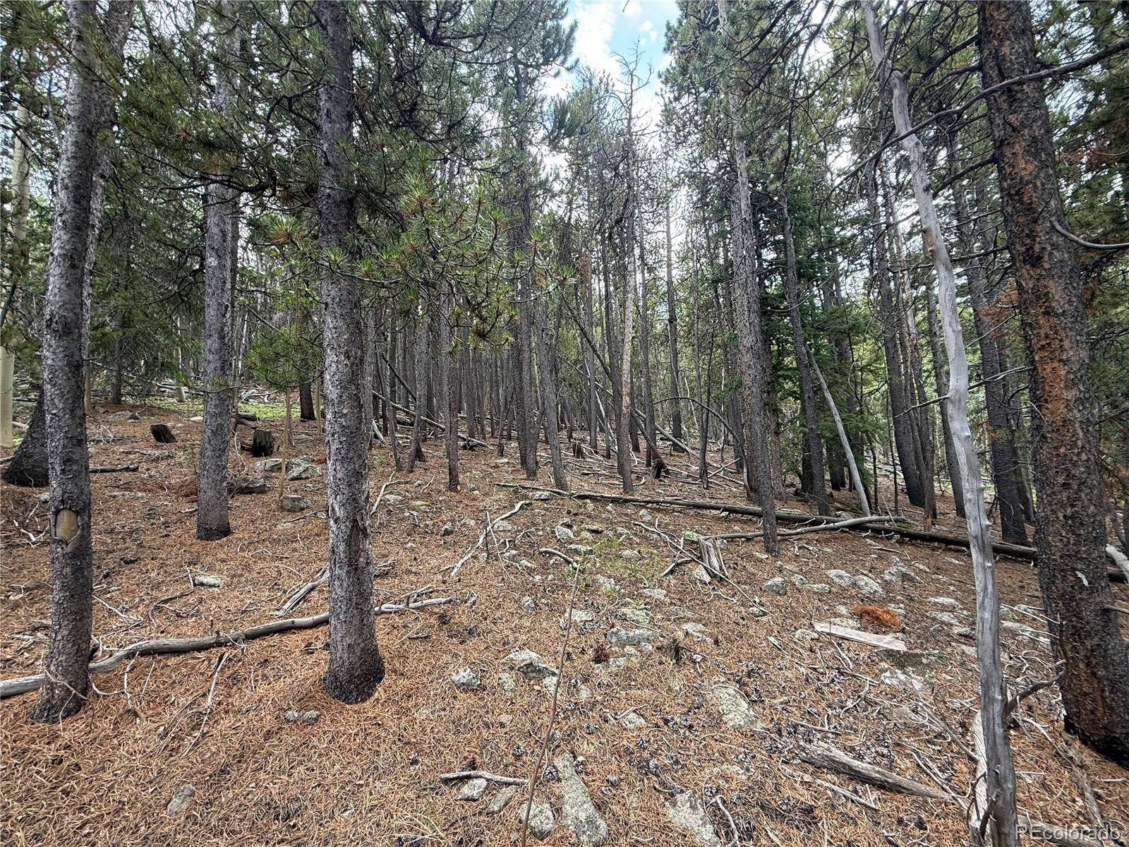 Idaho Springs, CO 80452,3747 S Spring Gulch RD