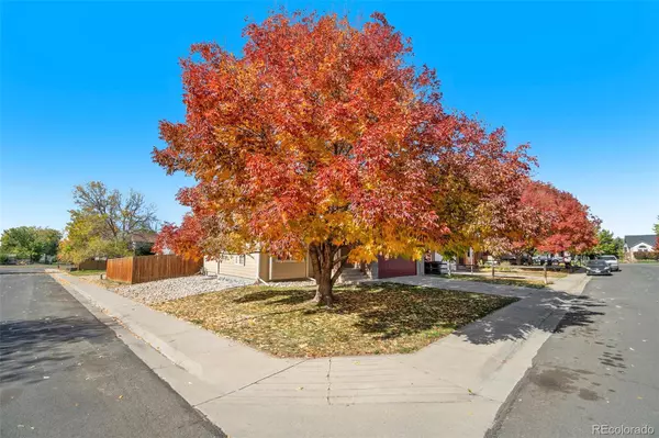 Frederick, CO 80530,207 Linden ST