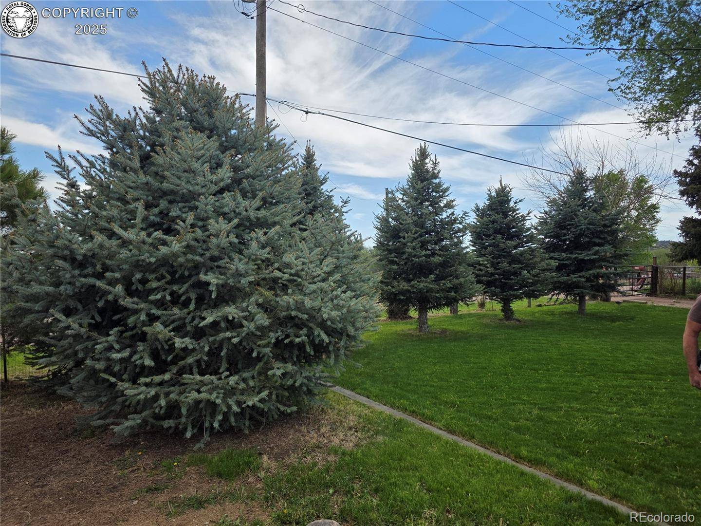 Canon City, CO 81212,1537 Willow ST