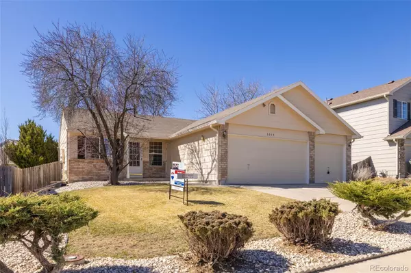 1019 Red Oak DR, Longmont, CO 80504