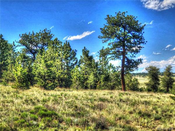 1135 Costella DR, Hartsel, CO 80449