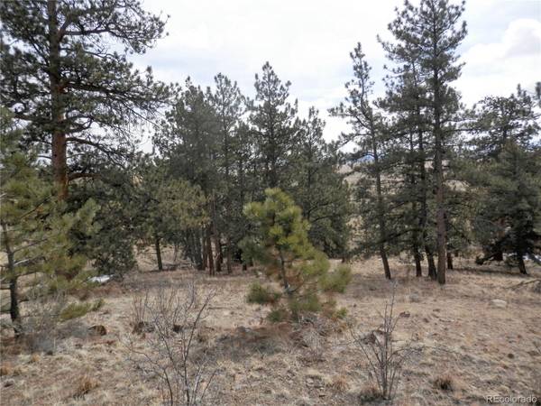 80 & 138 Buckboard WAY, Hartsel, CO 80449