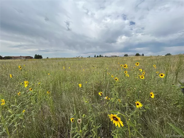 Peyton, CO 80831,3640 Murr RD