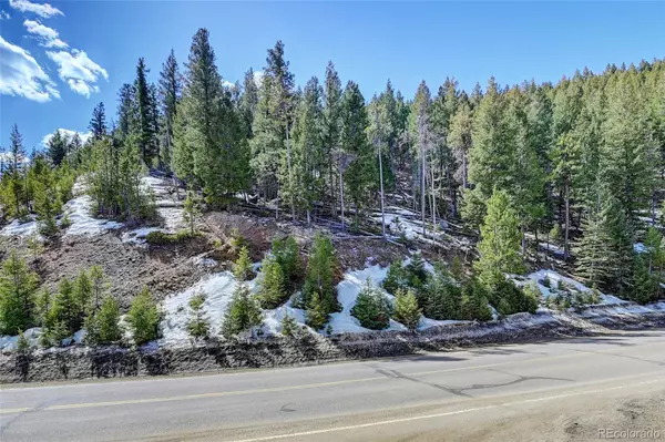 Evergreen, CO 80439,00 Saddleback