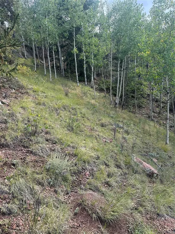 Cripple Creek, CO 80813,off hwy 1