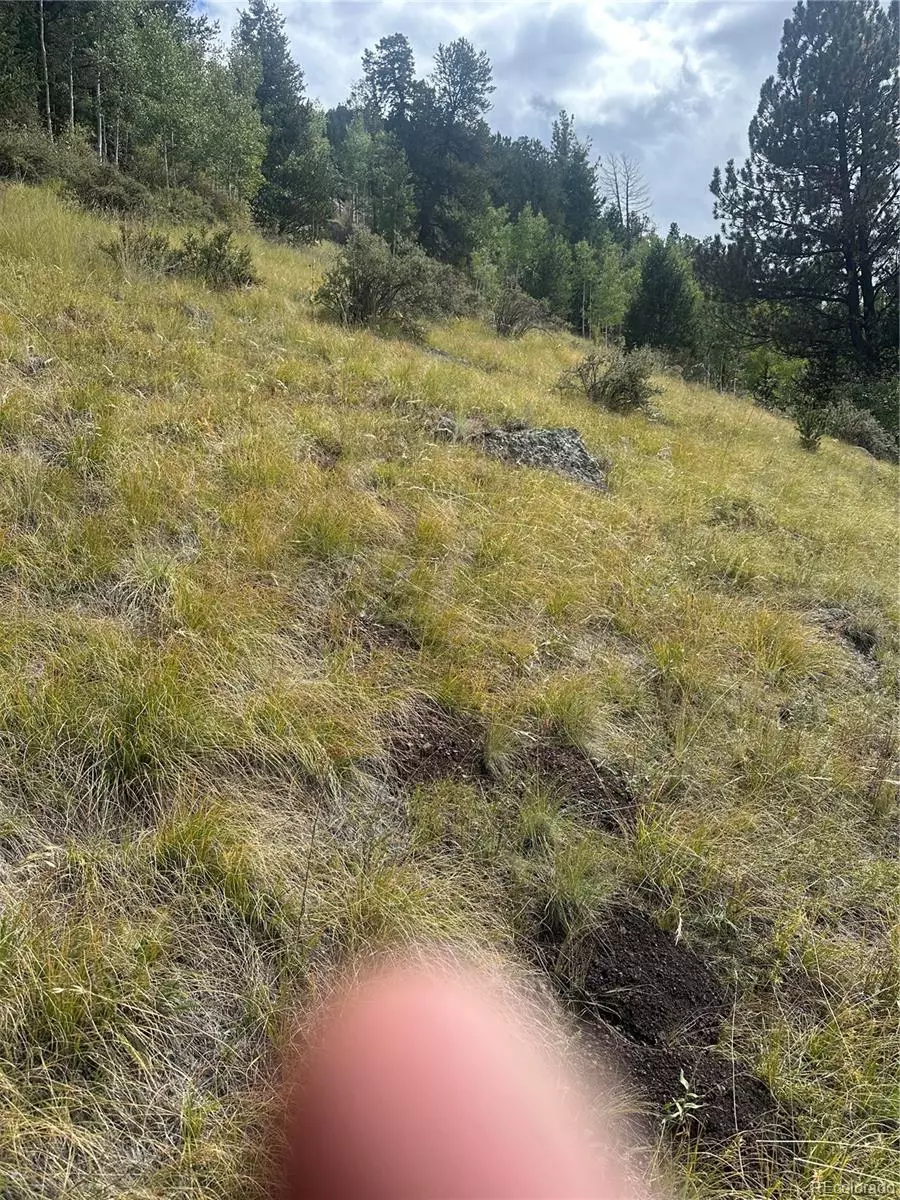 Cripple Creek, CO 80813,off hwy 1