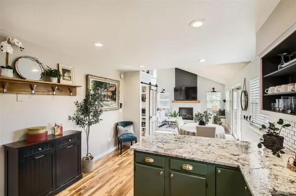 Pine, CO 80470,16626 Ouray RD