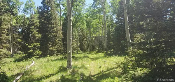 Fort Garland, CO 81133,Lot 3085 Henderson LN