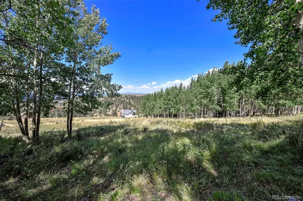 Cripple Creek, CO 80813,331 Troy WAY