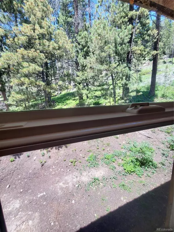 Idaho Springs, CO 80452,185 Alice RD