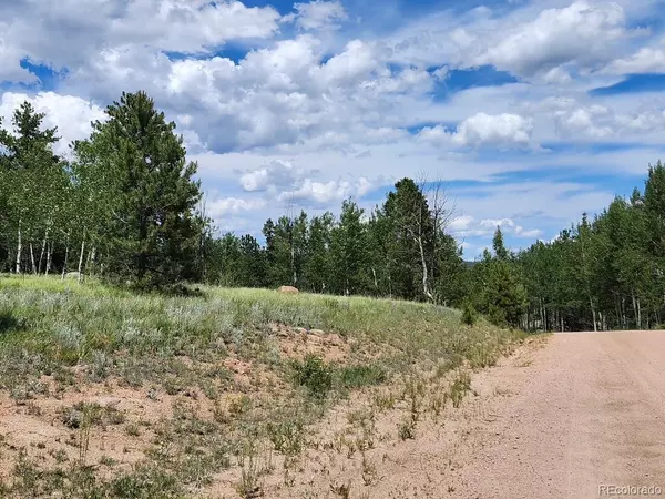 Florissant, CO 80816,501 Cr-403