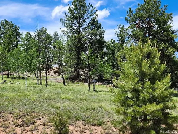 Florissant, CO 80816,501 Cr-403