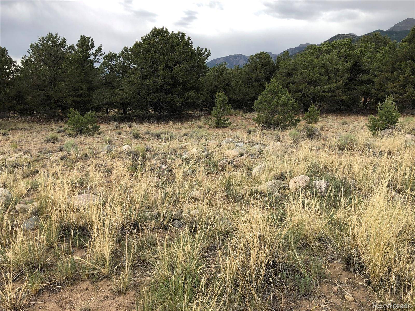 Crestone, CO 81131,3386 Genial WAY