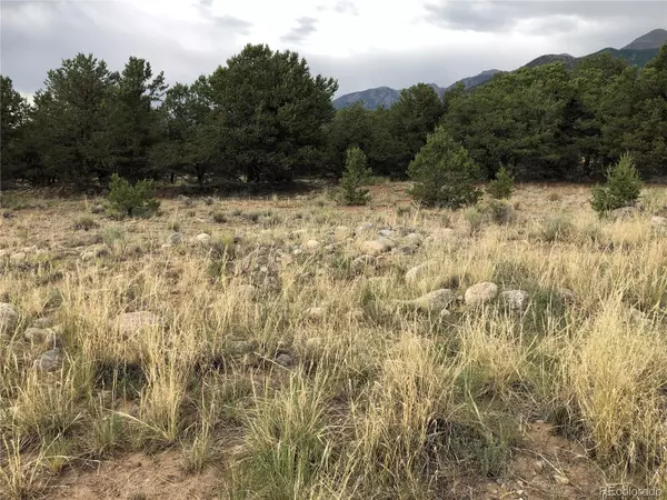 Crestone, CO 81131,3386 Genial WAY