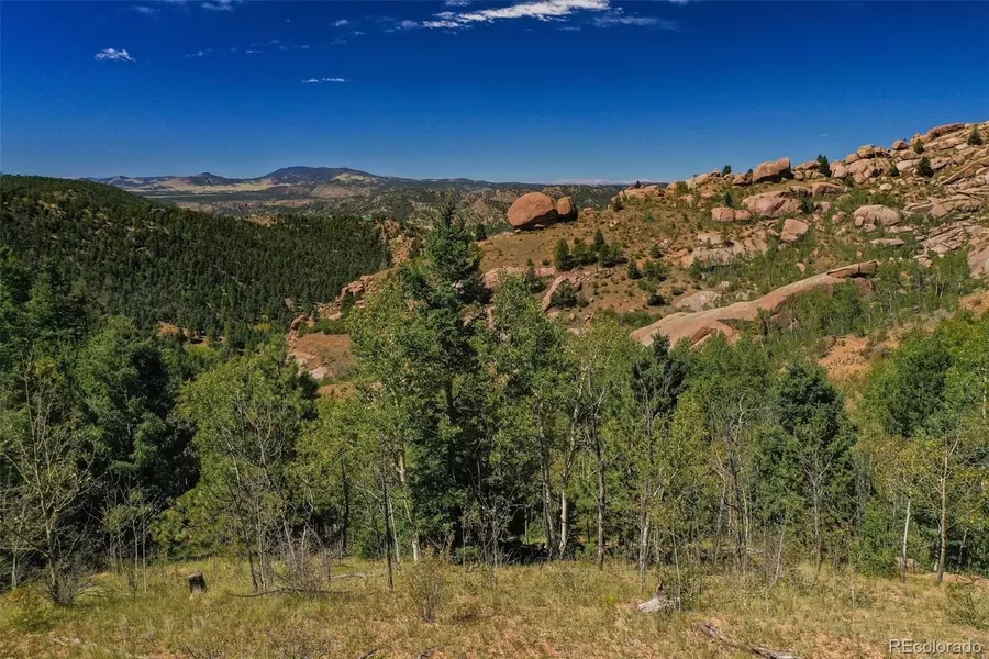 565 Buckhorn RD, Cripple Creek, CO 80813