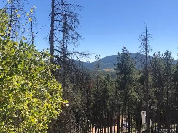 Evergreen, CO 80439,248 Cedar RD