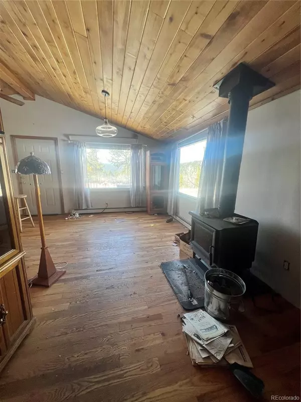 Black Hawk, CO 80422,173 Evans View DR