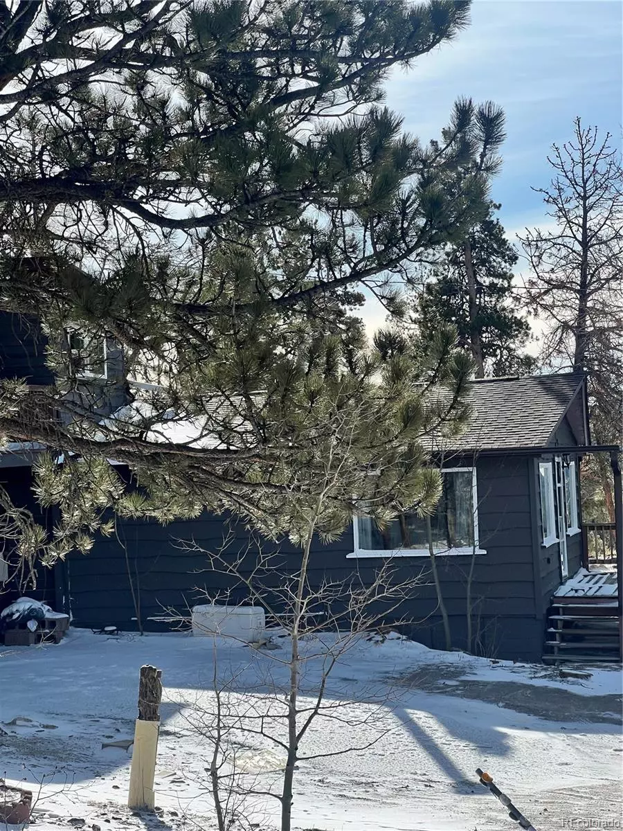 Black Hawk, CO 80422,173 Evans View DR