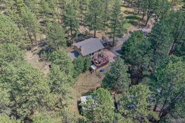 425 Patty DR, Evergreen, CO 80439