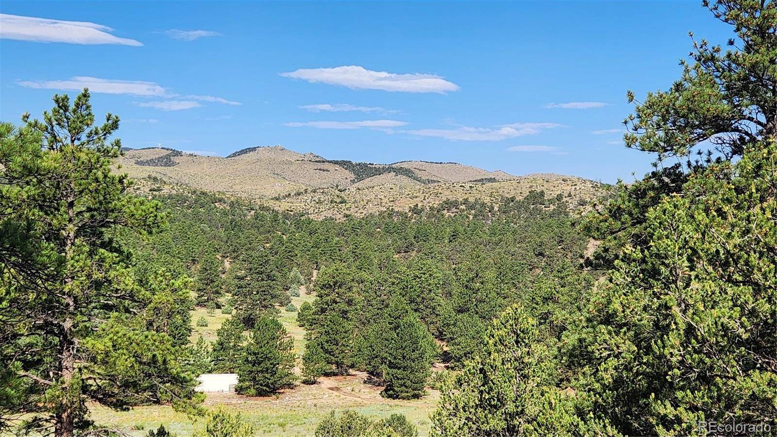 Cotopaxi, CO 81223,TBD L 43rd TRL