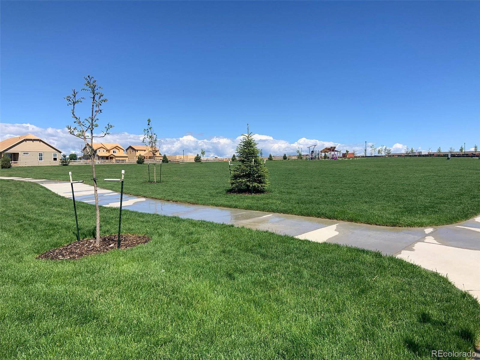 Broomfield, CO 80023,17860 Gallup ST