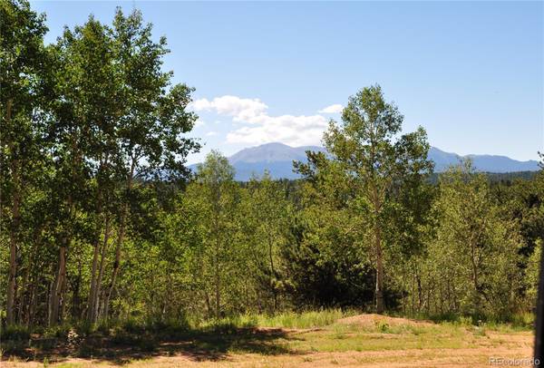 78 Blackhawk CIR, Florissant, CO 80816