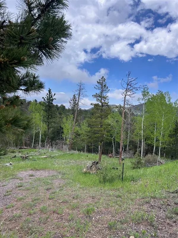 Golden, CO 80403,31755 Lillis PL