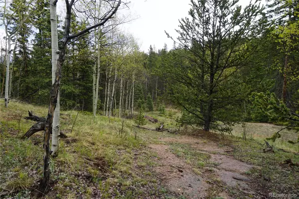 Cripple Creek, CO 80813,Vacant Land
