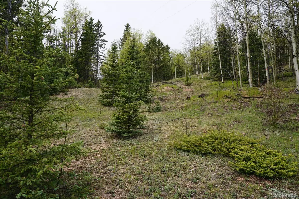 Cripple Creek, CO 80813,Vacant Land