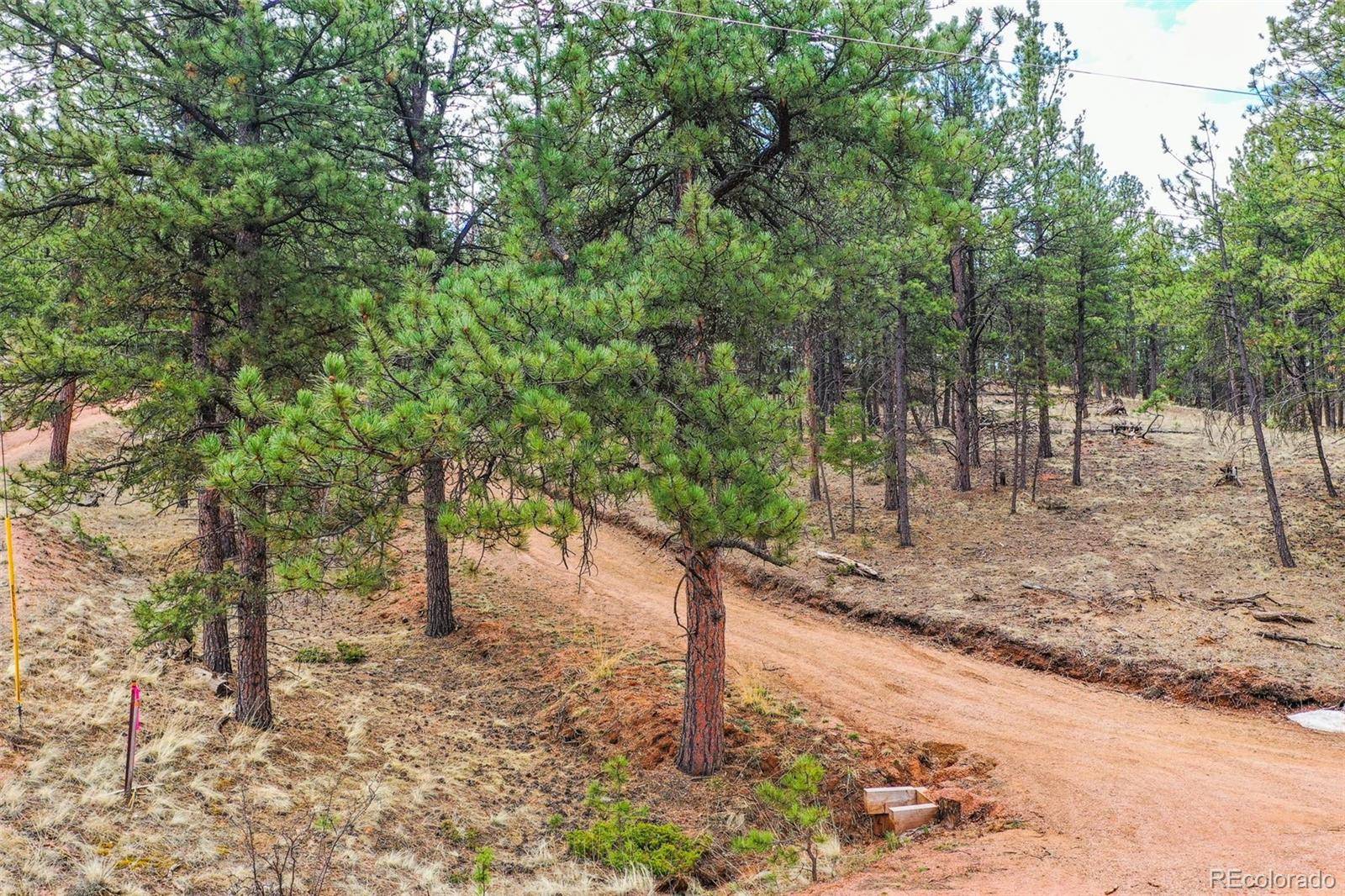 Florissant, CO 80816,465 Peak View CIR