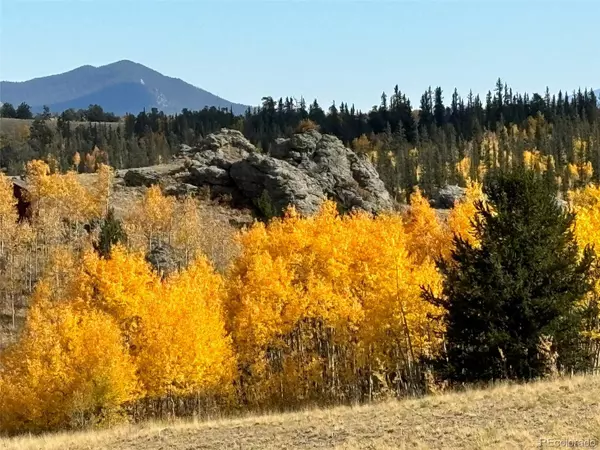 Como, CO 80432,326 Swallow Rock TRL