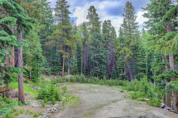 Idaho Springs, CO 80452,239 Long RD