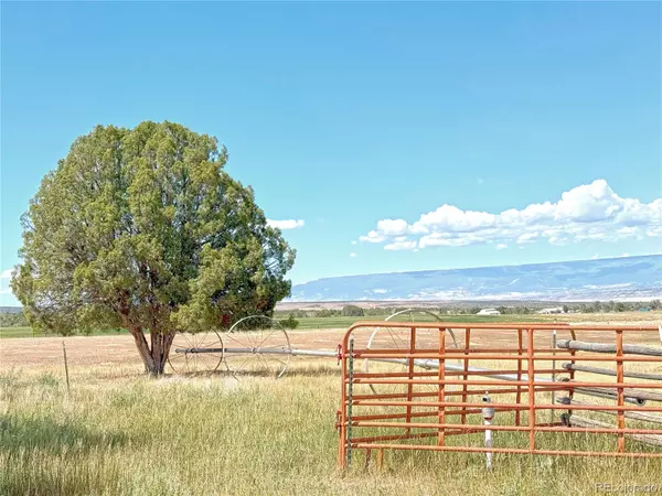 Crawford, CO 81415,34706 Fruitland Mesa RD