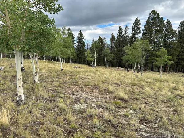 Hartsel, CO 80449,3826 Singletree RD