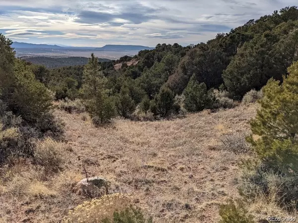 Fort Garland, CO 81133,4389 Beekman RD