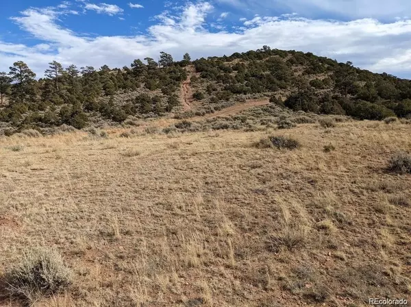 Fort Garland, CO 81133,4389 Beekman RD