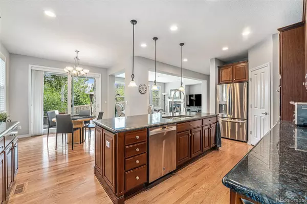 Highlands Ranch, CO 80130,10994 Shadowbrook CIR