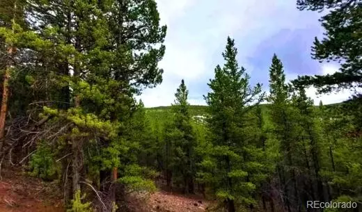 Gunnison, CO 81231,Boss Lode Claim